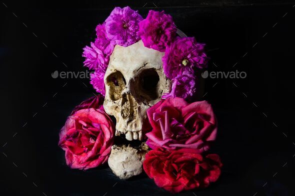 human skull with roses for day of the dead