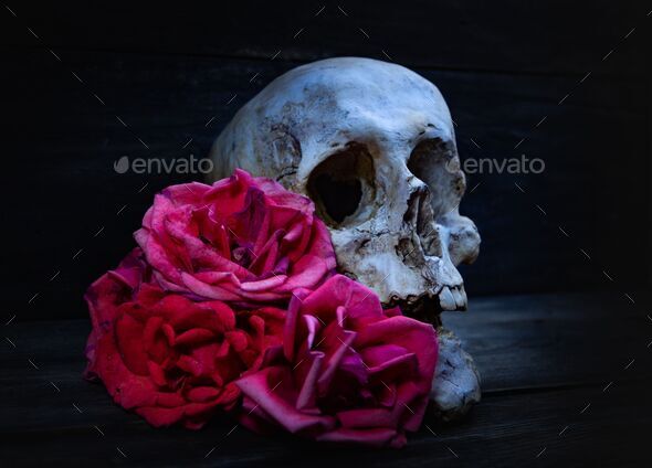 human skull with roses for day of the dead