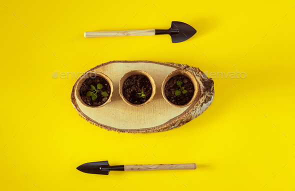 Cardboard glasses on a wooden saw cut and garden shovels on yellow.