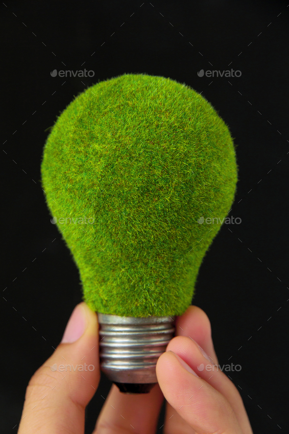 eco light bulb energy concept - Stock Photo - Images