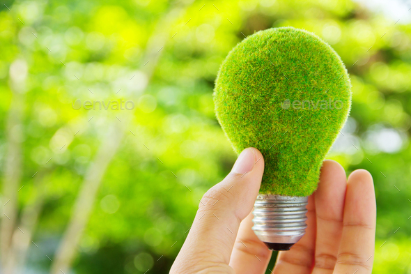 Hand holding eco light bulb - Stock Photo - Images
