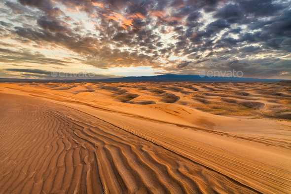 Beautiful sunset over the sand dunes in the Arabian Empty Quarter Desert. UAE - Stock Photo - Images