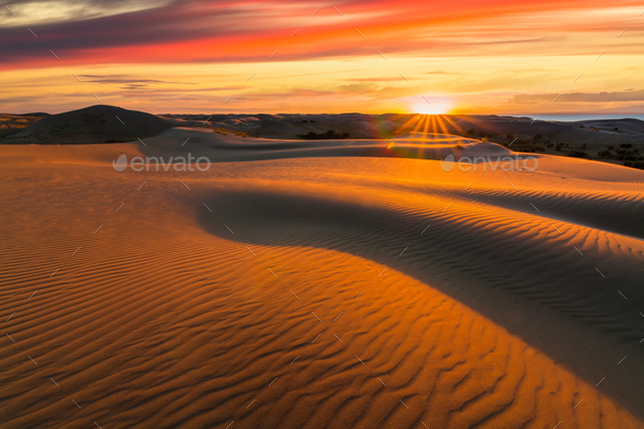 Picturesque desert landscape with a golden sunset over the dunes - Stock Photo - Images