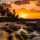 Beautiful sunset under the coconut plams on Sri Lanka beach. - PhotoDune Item for Sale