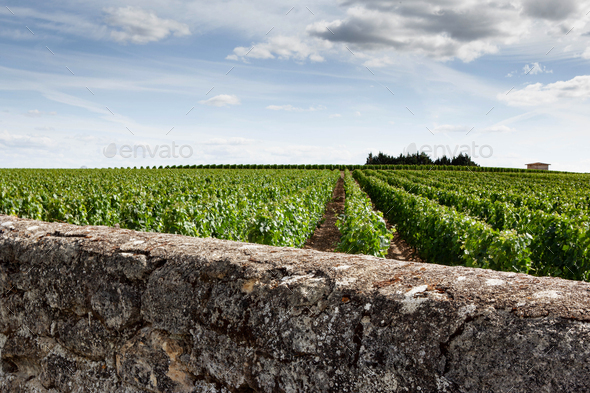 Landscape of a French village near Bordeaux - Stock Photo - Images