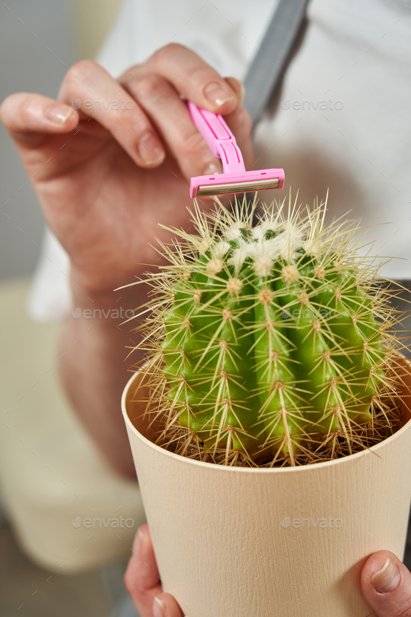 pink razor near the cactus. skin care hair removal self care