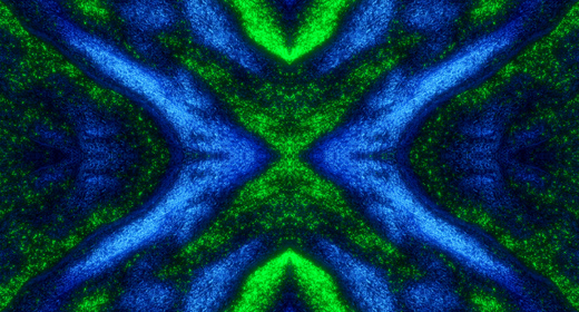 Abstract Motion Backgrounds