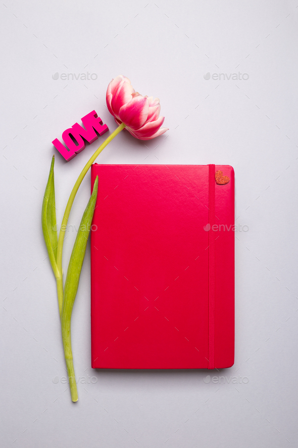 Pink notepad and spring pink tulip - Stock Photo - Images