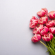 Pink tulips bouquet on grey background - PhotoDune Item for Sale