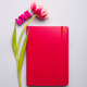 Pink notepad and spring pink tulip - PhotoDune Item for Sale