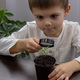 a boy looks at a flower in a pot through a magnifying glass. - PhotoDune Item for Sale