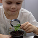 a boy looks at a flower in a pot through a magnifying glass. - PhotoDune Item for Sale