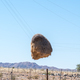 Community bird nest hanging on telephone wires - PhotoDune Item for Sale