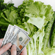 Top view hands holding money counting hundred dollar bills and lettuce leaves - PhotoDune Item for Sale