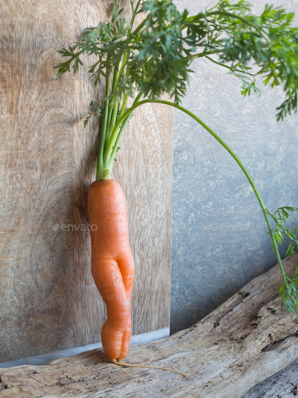 Weird carrot with legs  Graphic design elements, Carrots, Graphic