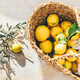 Fresh lemons in the basket - PhotoDune Item for Sale
