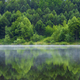 Beautiful summer landscape with forest lake and reflection in water - PhotoDune Item for Sale