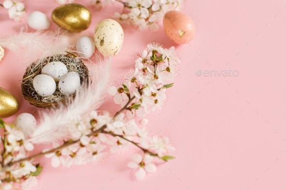 Stylish Easter eggs in nest, cherry blossoms and feathers on pink background with copy space - Stock Photo - Images