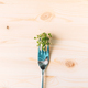 Young sprouts of microgreens on fork on wooden table - PhotoDune Item for Sale