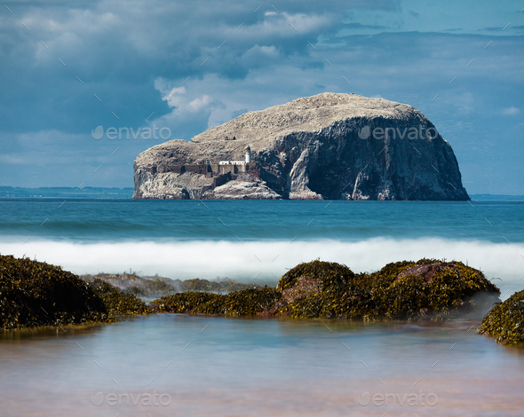 Views of Bass Rock, lighthouse, North Sea and colony of gannets. North Berwick. Scotland - Stock Photo - Images