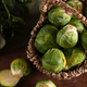 fresh organic food vegetable brussels sprouts - PhotoDune Item for Sale