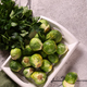 fresh organic food vegetable brussels sprouts - PhotoDune Item for Sale