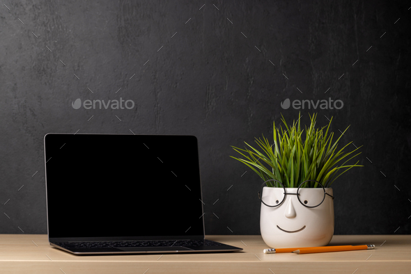 Laptop and plant - Stock Photo - Images