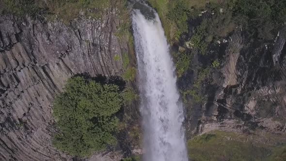 Waterfall in rainforest