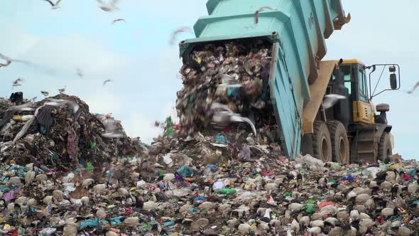 Truck offloading plastic on a landfill site