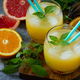 Grapefruit and orange gin cocktail or margarita, refreshing drink with ice. - PhotoDune Item for Sale