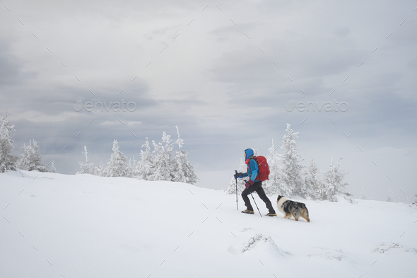 Man hiking with dog in beautiful winter mountain - Stock Photo - Images
