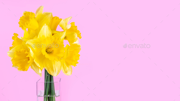 Bouquet Of Yellow Daffodils Flowers, Easter Bells In Vase On Pink Background - Stock Photo - Images