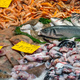 Fresh fish, seafood and crustaceans for sale - PhotoDune Item for Sale