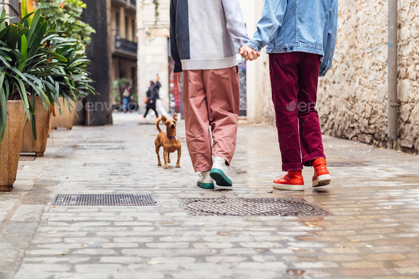 unrecognizable couple walking with a little dog - Stock Photo - Images