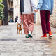 unrecognizable couple walking with a little dog - PhotoDune Item for Sale