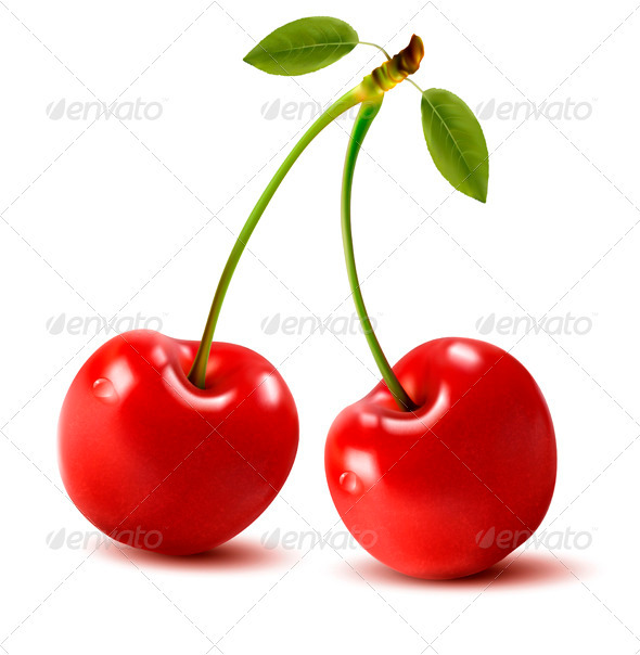 Two cherries with Leaves - Vector - Food Objects