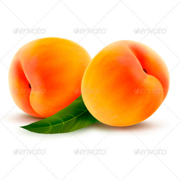Two Fresh Peaches - Vector - Food Objects