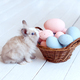 grey Easter bunny rabbit with basket and painted eggs on white background - PhotoDune Item for Sale