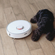 Bored Black Schnauzer dog is lying next to the robotic vacuum cleaner on the floor. - PhotoDune Item for Sale