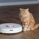 Robotic vacuum cleaner on the floor with a surprised ginger cat - PhotoDune Item for Sale
