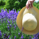 Female holding a tan floppy sun hat in a field of lavender.  - PhotoDune Item for Sale