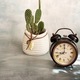 Alarm clock and cactus plant in a pot - PhotoDune Item for Sale