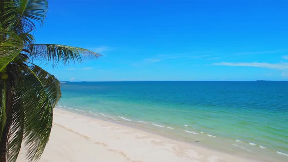 Drone flying at the tropical white beach with coconut trees alt