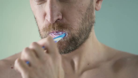 Bearded Middle-Aged Man Carefully Brushing His Teeth Looking in Mirror, Close-Up alt