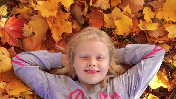 Portrait of a Beautiful Girl in the Autumn Park Portrait of a Beautiful Girl in the Autumn Park on