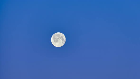 Big round moon in the blue evening sky, time-lapse