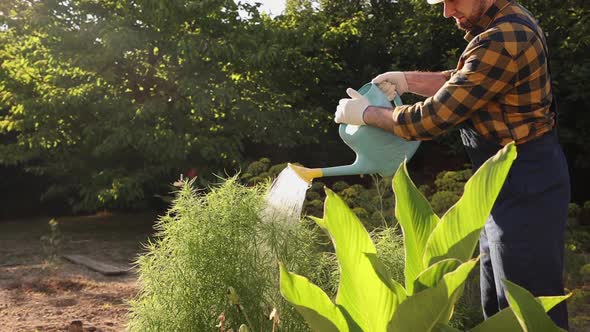 Springtime. Smiling gardener approaches a green bush with a watering can and waters it. alt