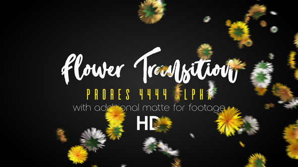 Flower Transition HD