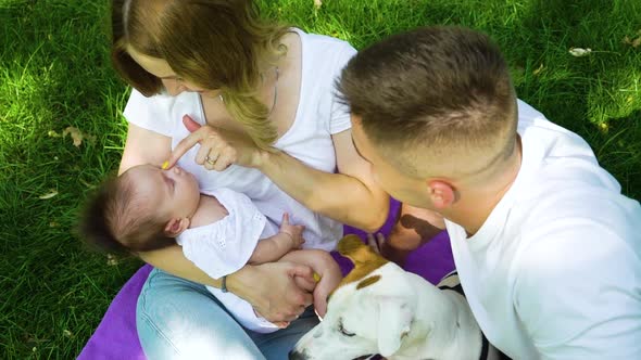 Young family with cute baby and pet sitting on blanket in summer park alt
