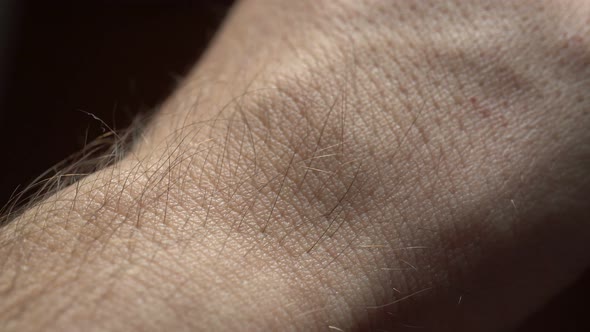 Macro Human Skin Background alt